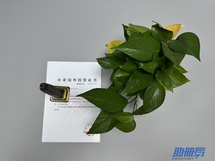 海外公司后期維護知識介紹！